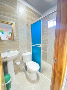 卡普兰干HOSTAL LAS FLORES的一间带卫生间和水槽的浴室