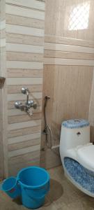 克久拉霍Peaceful Home Stay的浴室配有卫生间、盥洗盆和淋浴。