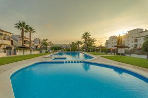 奥里韦拉soleadore sol的一座种植了棕榈树和建筑的大型蓝色游泳池