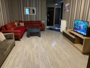 第比利斯利利克梅斯基维立公寓的带沙发和平面电视的客厅