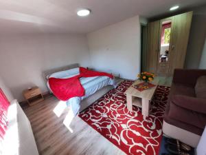 Slankamenački VinogradiVinarija Stojanovic的一间小卧室,配有一张床和一条红色毯子