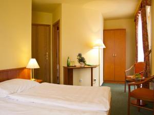 霍尼普拉纳Hotel na Jezeře的卧室配有1张床、1张桌子和1把椅子