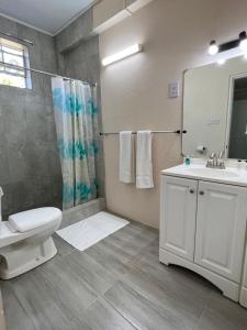 圣乔治SeaLaVie Apartments - Grenada的浴室配有卫生间水槽和淋浴。