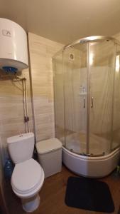 克里沃罗格Однокімнатна квартира на вулиці Володимира Великого 22的一间带卫生间和玻璃淋浴间的浴室