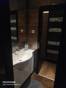 萨格勒布Gasperius apartments的浴室设有白色水槽和镜子