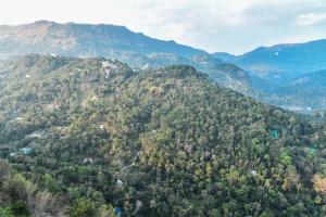 AnachalBritish County Resorts的树木覆盖的高山的空中景色