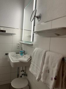 博德曼路德维希港Hotel Sommerhaus Garni am See的浴室配有盥洗盆、卫生间和毛巾。