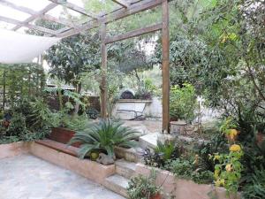 雅典Stamatina's House的种植了凉棚和植物的花园