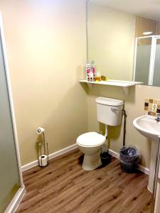 科尔福德贝尔斯酒店的一间带卫生间和水槽的浴室