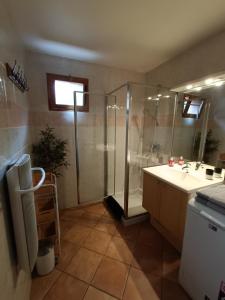 AigueblancheAppartement avec terrasse et parking Privé的带淋浴、盥洗盆和卫生间的浴室