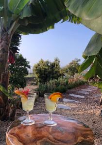 ArafoAfrikan Krisant Tenerife, Casa Rural Ecologica的坐在树前桌边的两杯鸡尾酒
