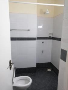 纳库鲁Nash Issah Homes-1BedRoom的一间带卫生间和淋浴的浴室