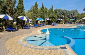 维亚雷焦Country Camp Campeggio Paradiso的一个带蓝伞和椅子的大型游泳池