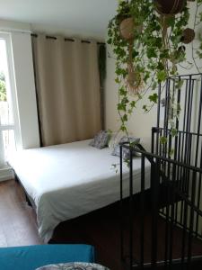 吉代勒Charmant logement vue mer avec chambre et terrasse的植物间的一张床