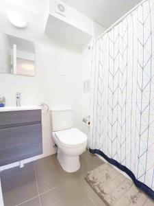 康塞普西翁Hostal Buró的一间带卫生间和淋浴帘的浴室
