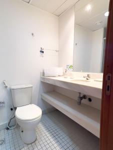 萨尔瓦多Iguatemi Business & Flat的一间带卫生间、水槽和镜子的浴室