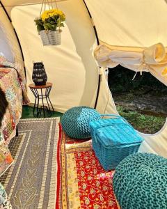 RogersvilleThe Pisces-a stargazing, luxury glamping tent的配有枕头的帐篷和植物桌子