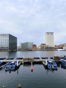 哥本哈根哥本哈根1150公寓的停泊在水面码头的一组船