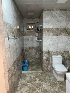 沙马基Shamakhi Villa的带淋浴和卫生间的浴室