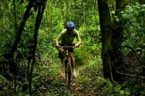Puerto LibertadPristine Residence Iguazú的骑着自行车在树林里走的人