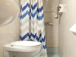干尼亚Guesthouse Chryssoula的一间带卫生间和淋浴帘的浴室