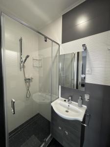 杰尔BRS22 Rooms的一间带水槽和玻璃淋浴的浴室
