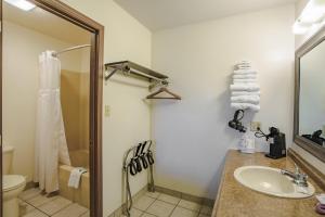 布兰森西Shady Acre Inn and Suites的一间带水槽、卫生间和淋浴的浴室