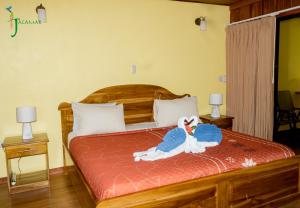 德雷克Jacamar Corcovado Drake Bay的卧室里有一床,上面有鸟
