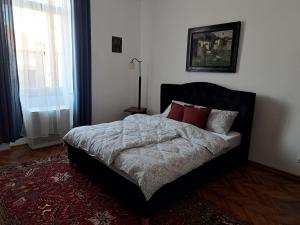 卡雷Weisz Apartment-City Center-Free Private Parking,Wifi,AC的一间卧室配有一张带红色枕头的床