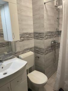 巴拉通雷勒Lilac Apartman的浴室配有卫生间、盥洗盆和淋浴。