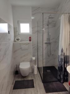 尼亚卢卡Apartman Ruza的一间带卫生间和玻璃淋浴间的浴室