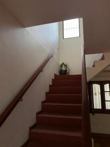 福尔摩沙Luminoso departamento en Planta Alta的一座房子里的楼梯,有窗户和植物