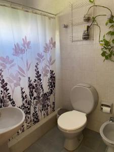 福尔摩沙Luminoso departamento en Planta Alta的浴室设有卫生间、水槽和淋浴帘