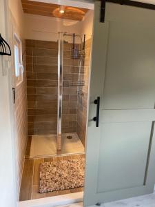 东福尔讷Sandra’s Gastenverblijf的浴室里设有玻璃门淋浴