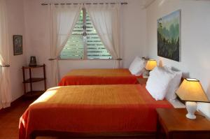 蓬塔戈尔达BlueBelize B&B的带窗户的客房内的两张床