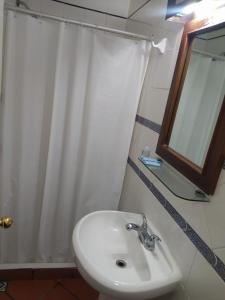 马塔莫罗斯HOTEL COLONIAL MATAMOROS的一间带水槽和淋浴帘的浴室