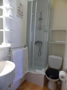 圣马洛圣佩德罗酒店的带淋浴、卫生间和盥洗盆的浴室