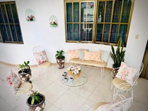 帕潘特拉德奧拉特Freijoó Casa Vintage的客厅配有桌椅和植物