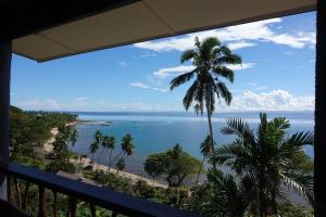 萨武萨武Beachfront Villa - House of Bamboo, Infinity Pool的阳台享有海景。