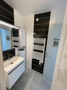卡布尔Appartement 2 pièces, lumineux, avec parking的白色的浴室设有水槽和镜子