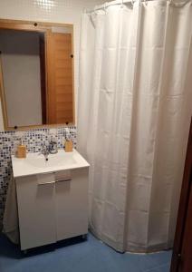 奥卡尼亚Acogedor Apartamento Ocaña的浴室配有淋浴帘和盥洗盆。