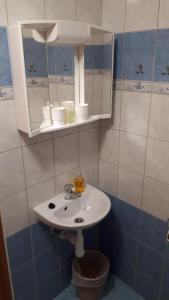 姆拉代布基Penzion U Halířů的浴室设有白色水槽和镜子