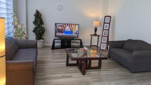 索罗尔德Brand New Big House in Niagara Region的客厅配有两张沙发和一台电视