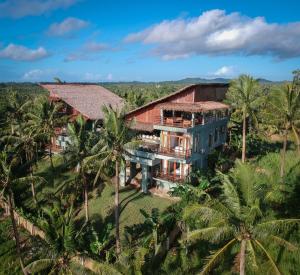 卢纳将军城Tanaw Villas的棕榈树房屋的空中景致