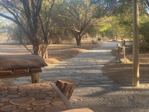 La HuaicaEl Huarango Eco retreat的一条带长凳和一些树木的石头小径
