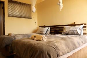 Grietjie Game ReserveiMbamuweti Cottage的一间卧室设有两张床,里面饲养着动物。