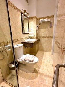 大叻郁金香酒店的浴室配有卫生间、盥洗盆和淋浴。