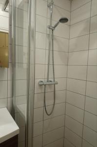 梅尔克Melker Apartment的浴室内配有淋浴和头顶淋浴