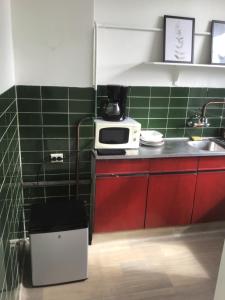 阿姆斯特丹Frank’s and Chong’s excellent location的带微波炉和绿色瓷砖的小厨房