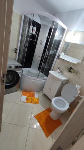 拉姆尼库沃尔恰Închiriez garsonieră Regim hotelier的浴室配有卫生间、淋浴和盥洗盆。